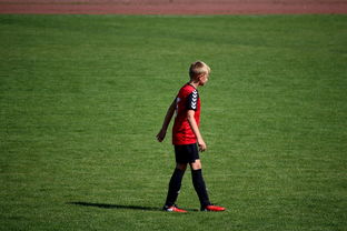 九游官网入口-俱乐部青训选拔日活动吸引众多有潜力少年参与，足球青训俱乐部招生宣传